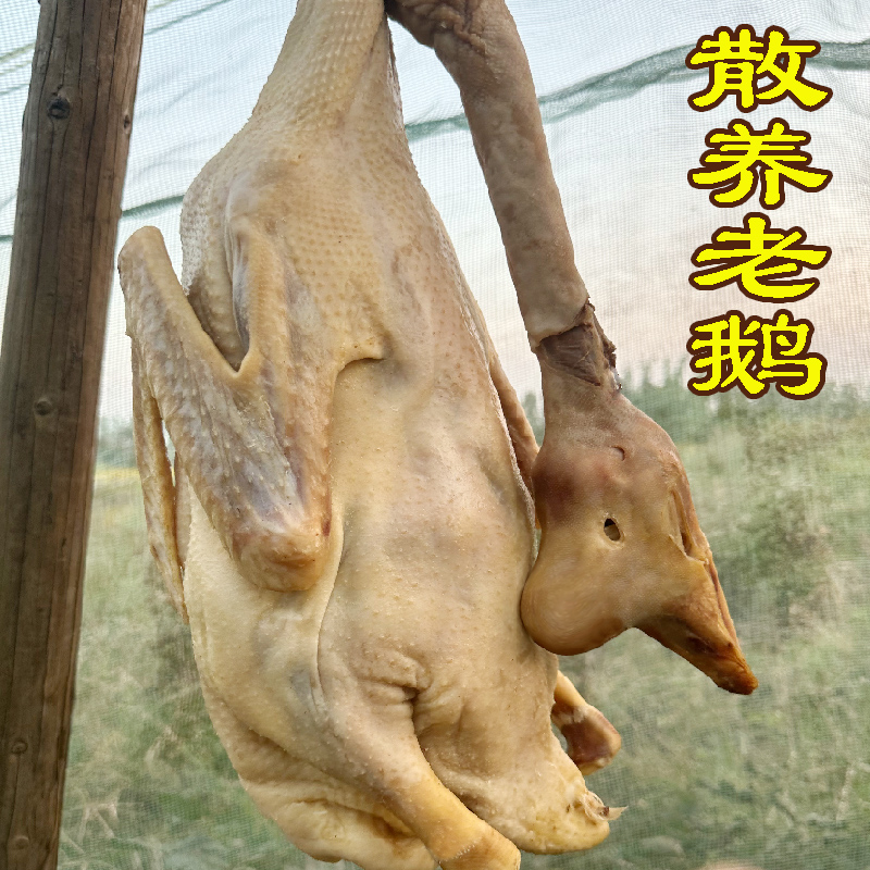 皖西特产腌制大白鹅咸土老鹅腊鹅农家散养放养风干鹅手工腌制草鹅