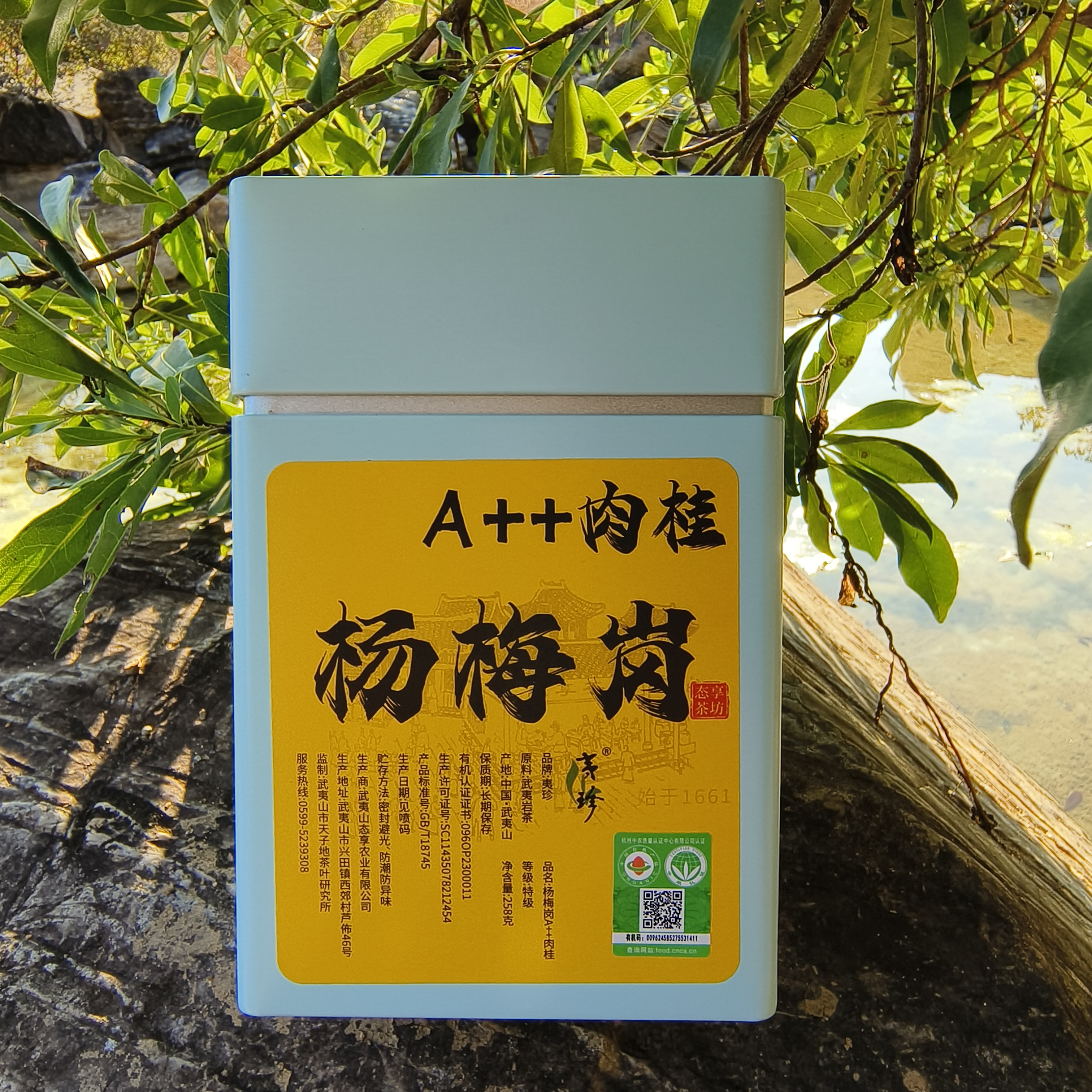 有机茶【杨梅岗】高山肉桂 258克 武夷岩茶