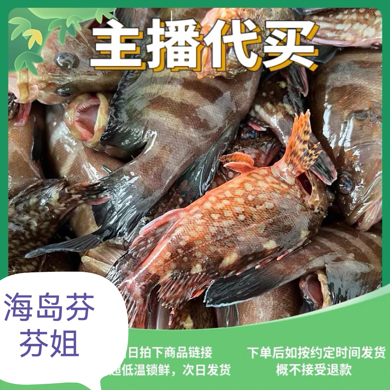 主播代买二号链接近海杂鱼虾海陵岛发货