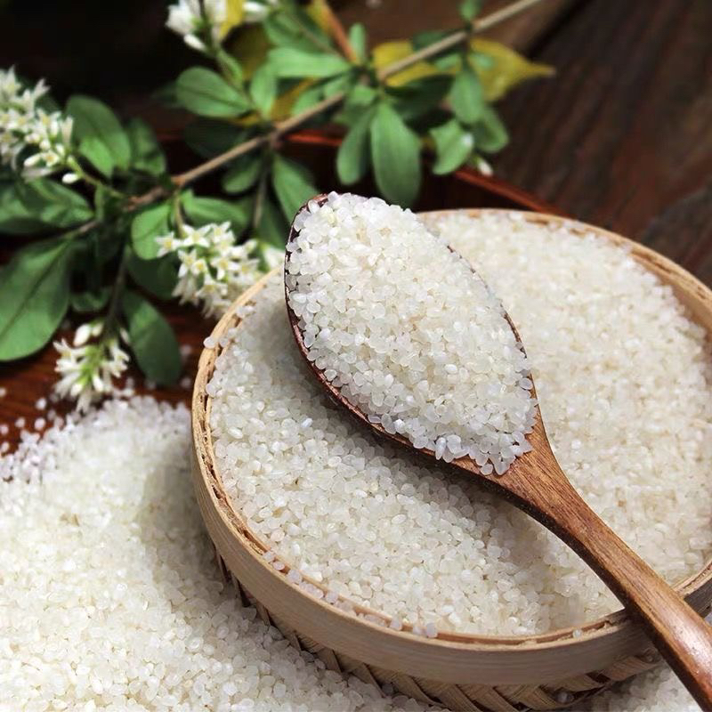 粥米 2025新米五常大米稻花香粥米 包邮