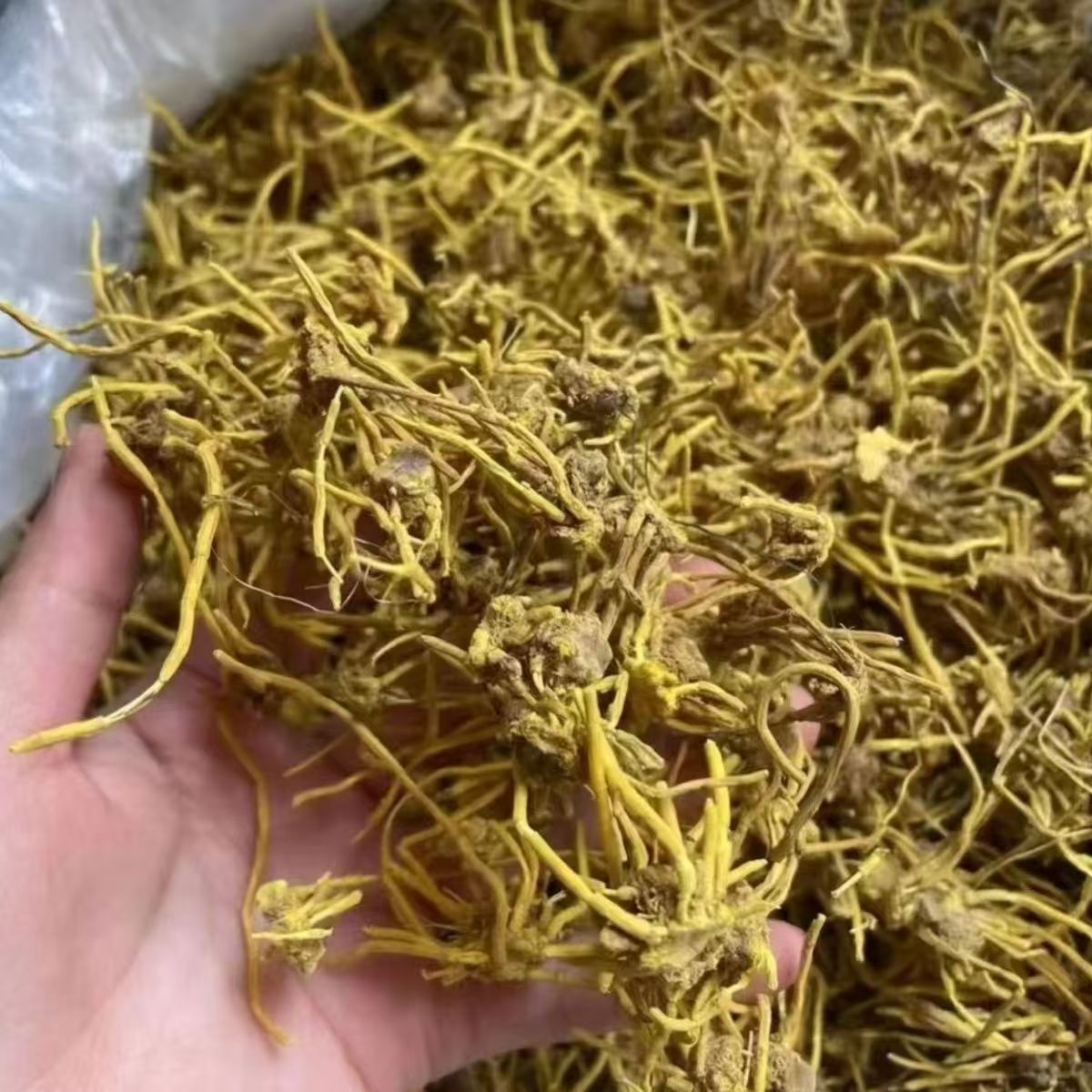 现收山货 250克/500克土特产食用农产品 可搭配枸杞2