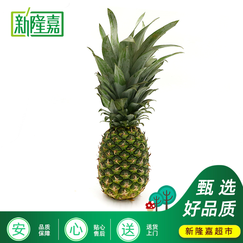 【嘉选】佳农黑钻凤梨1个（免费去皮）