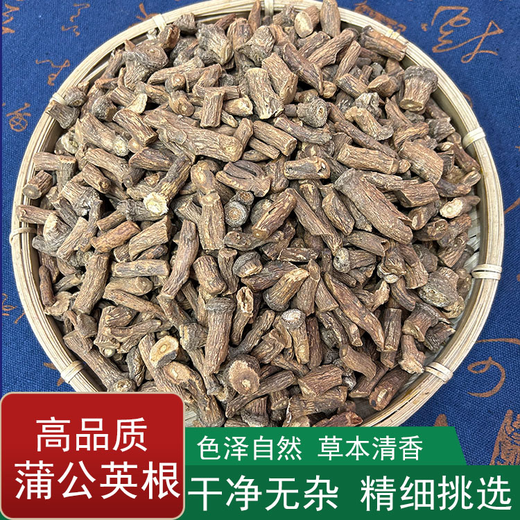 蒲公英根 婆婆丁根 干净无沙饱满颗粒泡水草本高品质