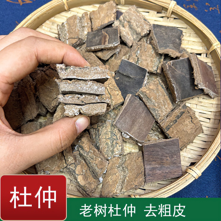 杜仲 深山老树去皮拉丝杜仲