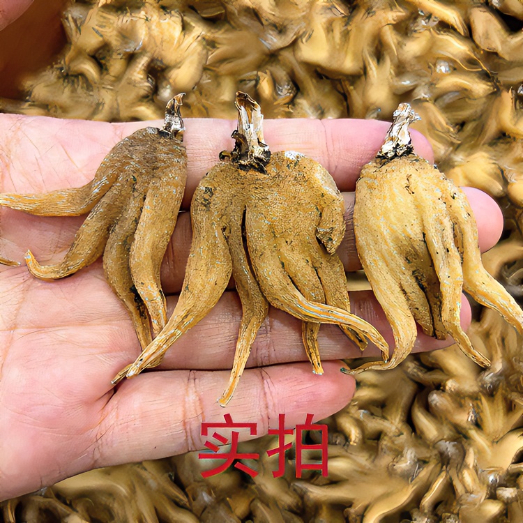 西藏佛手参干货正宗手掌参人工精选个大饱满煲汤100克250克500克