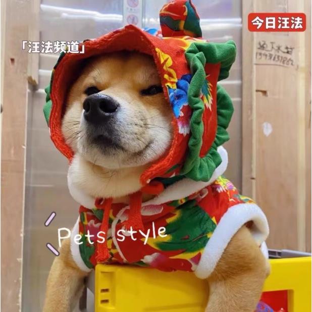 柴犬狗狗可爱中式衣服冬天加厚保暖棉衣柯基巴哥犬秋冬季新年喜庆