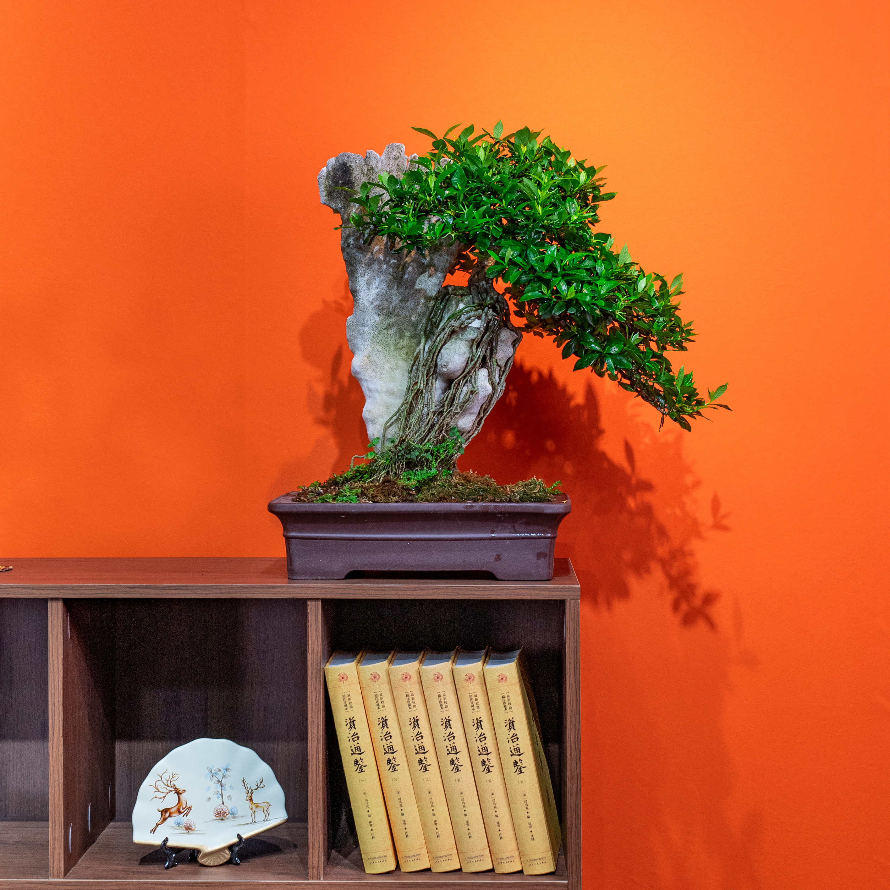 【艺景园林家小院】中式茶桌室内外精品三角梅通用链接一物一拍