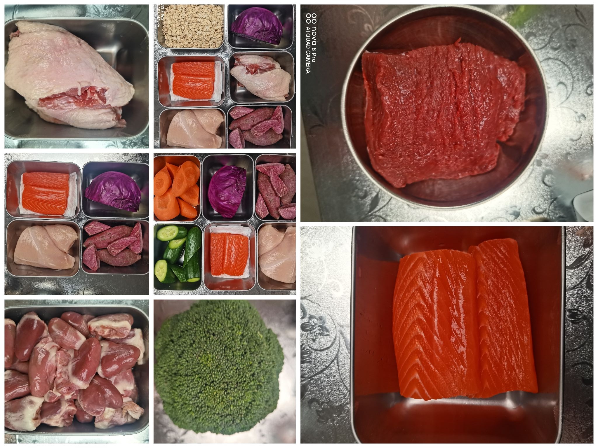 好命狗三文鱼猫饭湿粮套餐