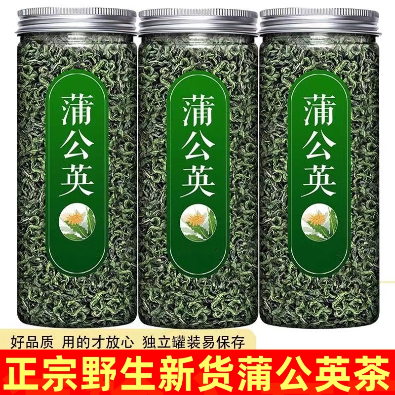 蒲公英茶 蒲公英叶新鲜手工炒制花茶泡水喝代用茶罐装