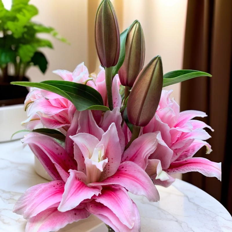【若比邻优选】蝶舞红尘重瓣百合花儿 颜色鲜艳浓香型 云南昆明直发