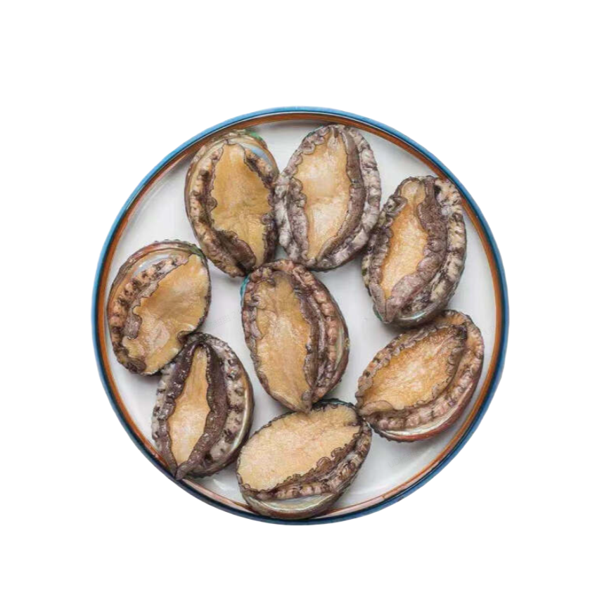 【同城配送】鲜活鲍鱼（15头、8头、5头）