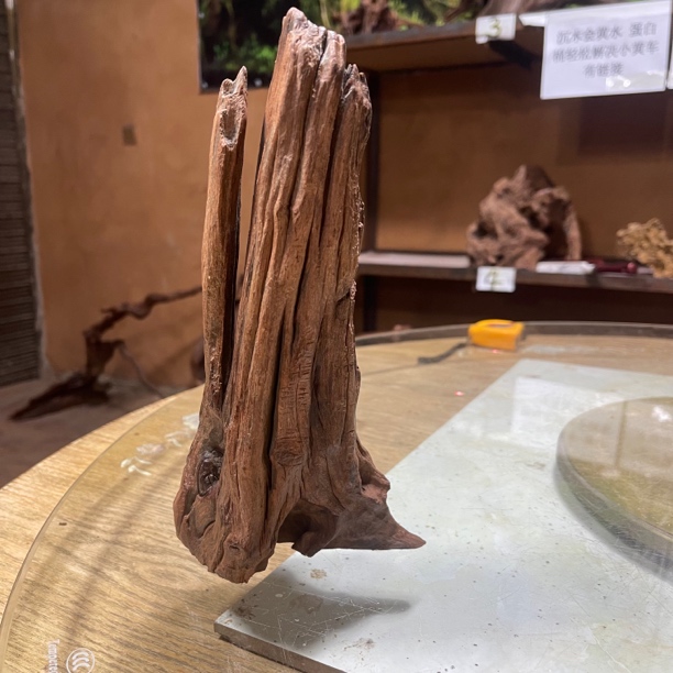 小树桩，正桩，带镂空