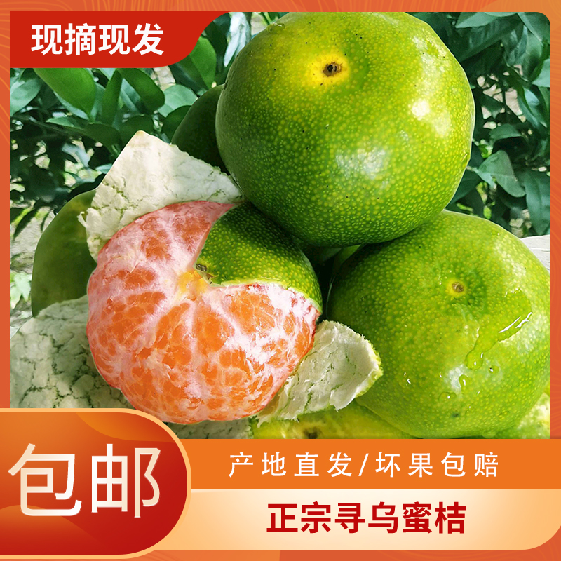 【京东包邮】正宗江西寻乌蜜桔新鲜水果青皮柑橘无籽酸甜橘子桔子