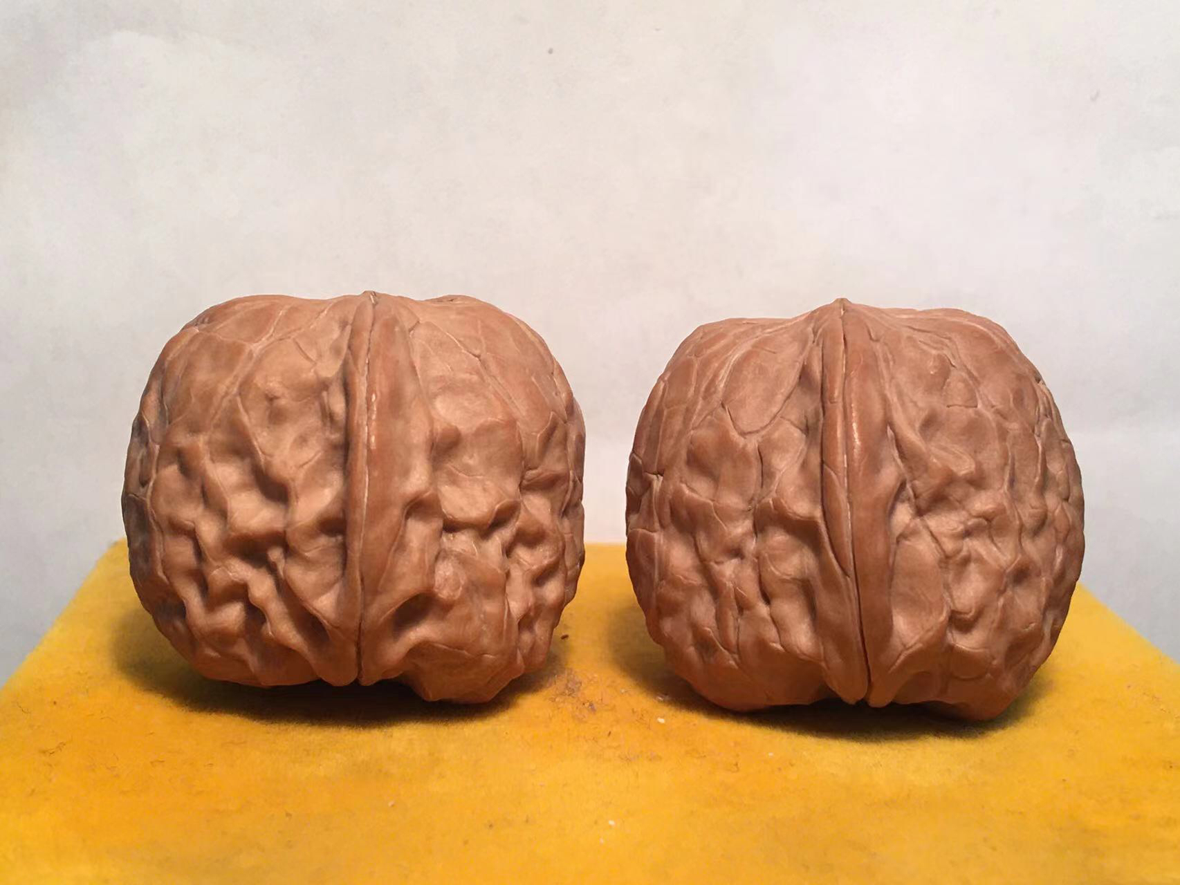 37全品精配野生金蟾樽狮子头