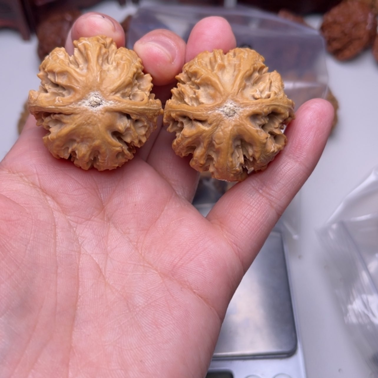 【闪购商品】文玩核桃把件15