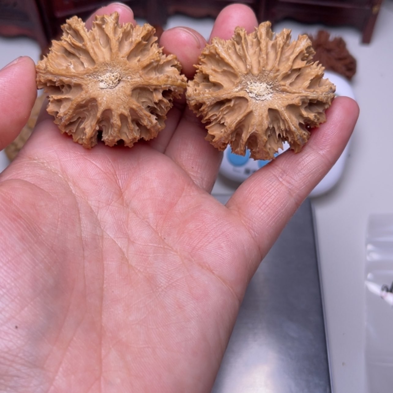 【闪购商品】文玩核桃把件田*妹04