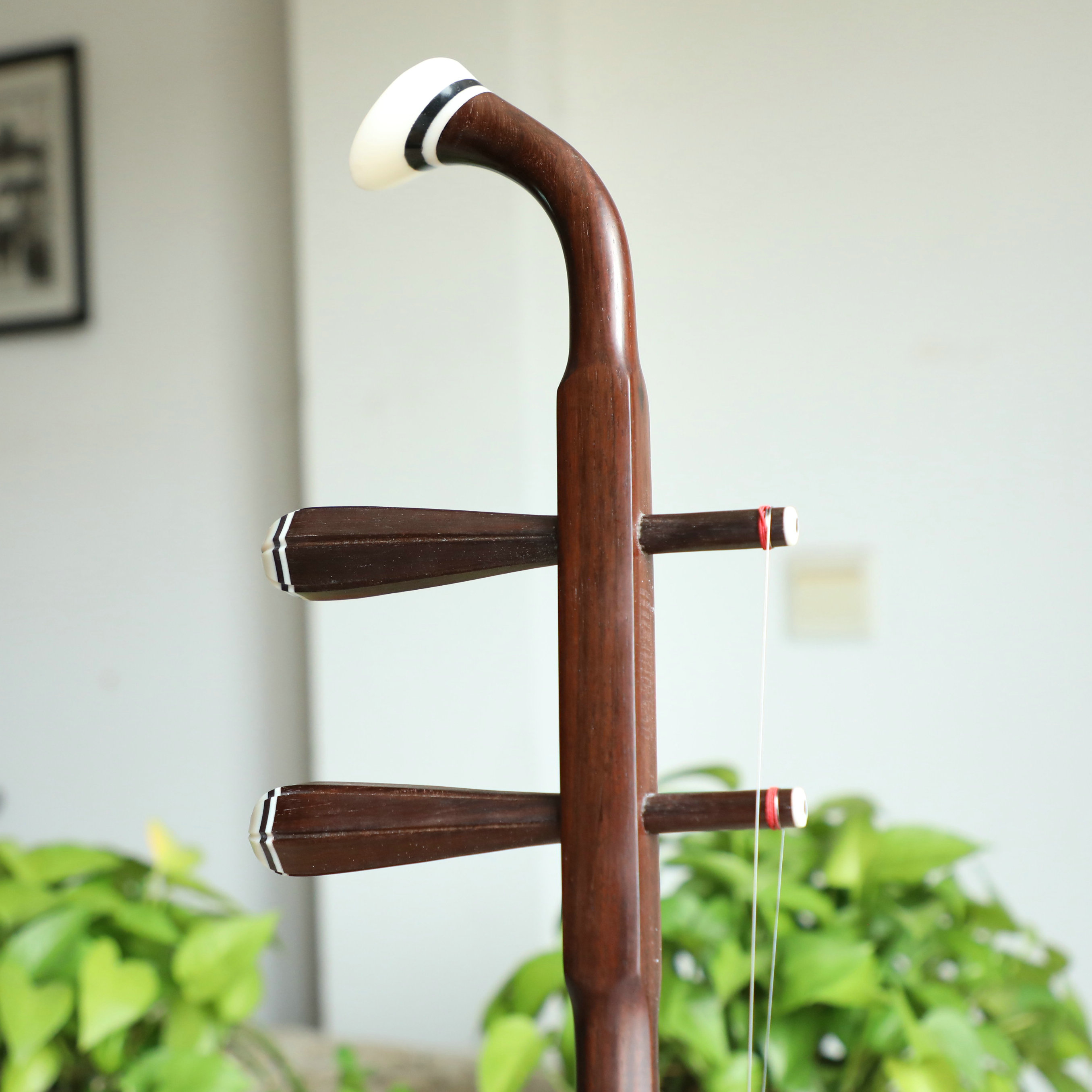 万其兴二胡家具旧料老红木强烈推荐王钟林老师精选厂家直销