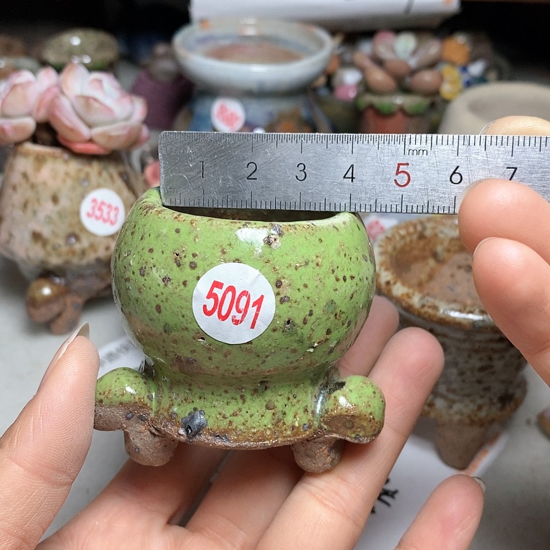 红陶拍5个送一个