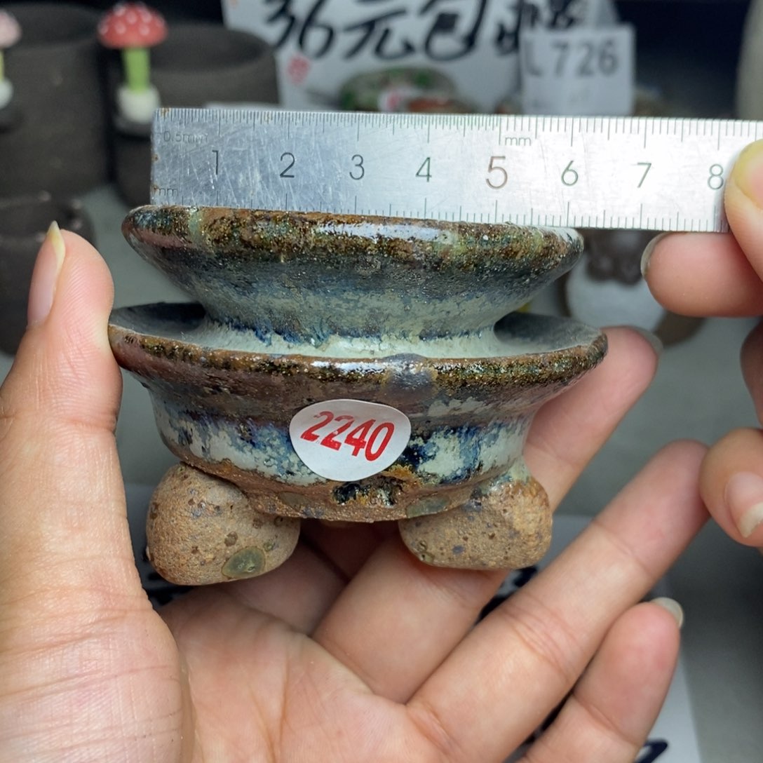 红陶20CM（含）-50CM（不含）