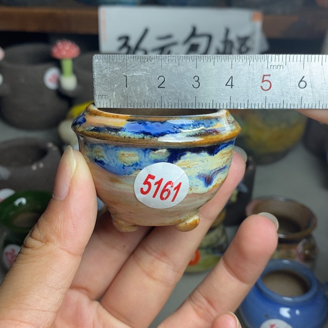 红陶20CM（含）-50CM（不含）