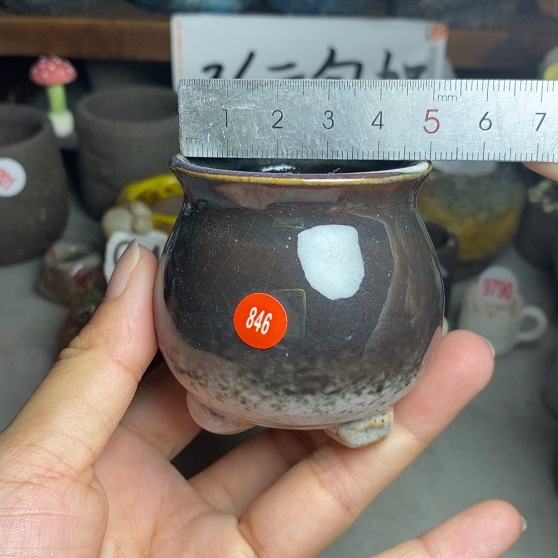 红陶20CM（含）-50CM（不含）