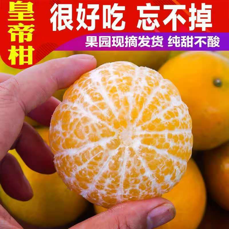 正宗广西皇帝柑新鲜黄帝柑当季水果贡柑柑橘3/5/9斤橙子