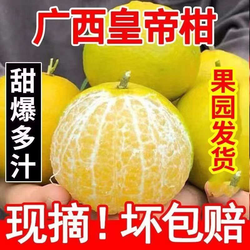 【爆甜】正宗广西皇帝柑新鲜水果贡柑3/5/9斤柑橘薄皮桔子皮薄成熟