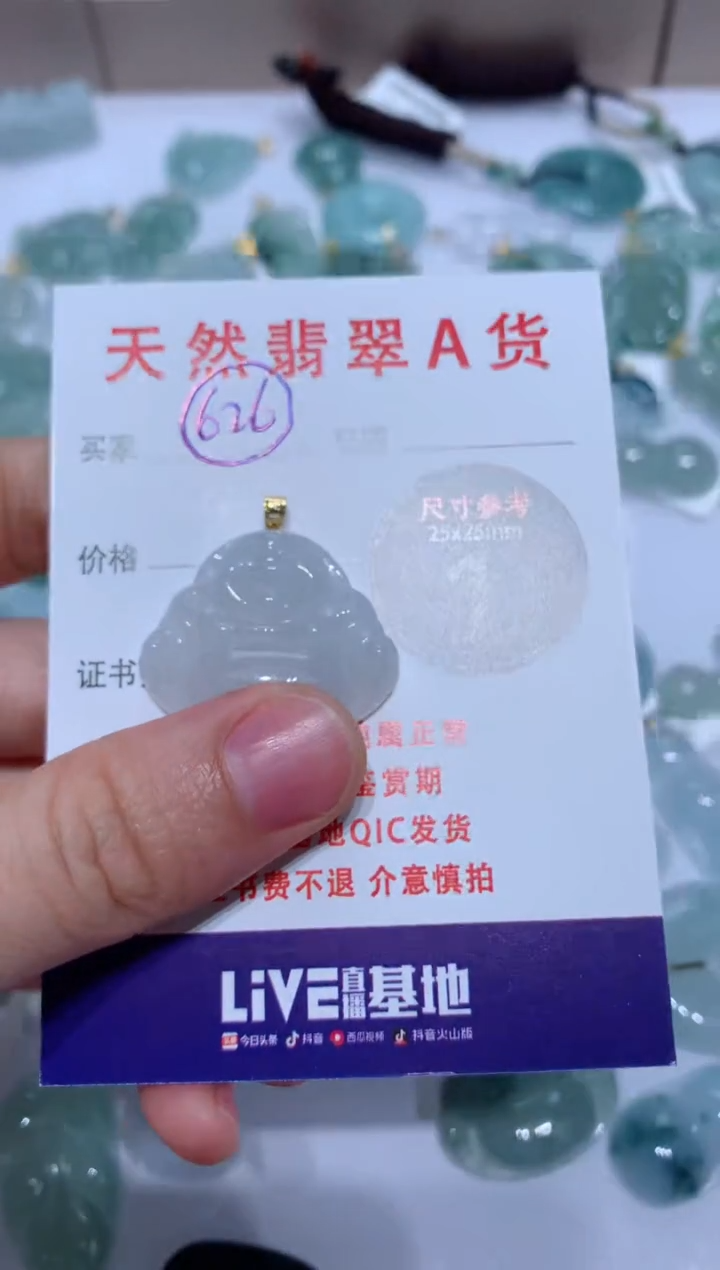 【闪购商品】翡翠颈饰未镶嵌天然A货翡翠