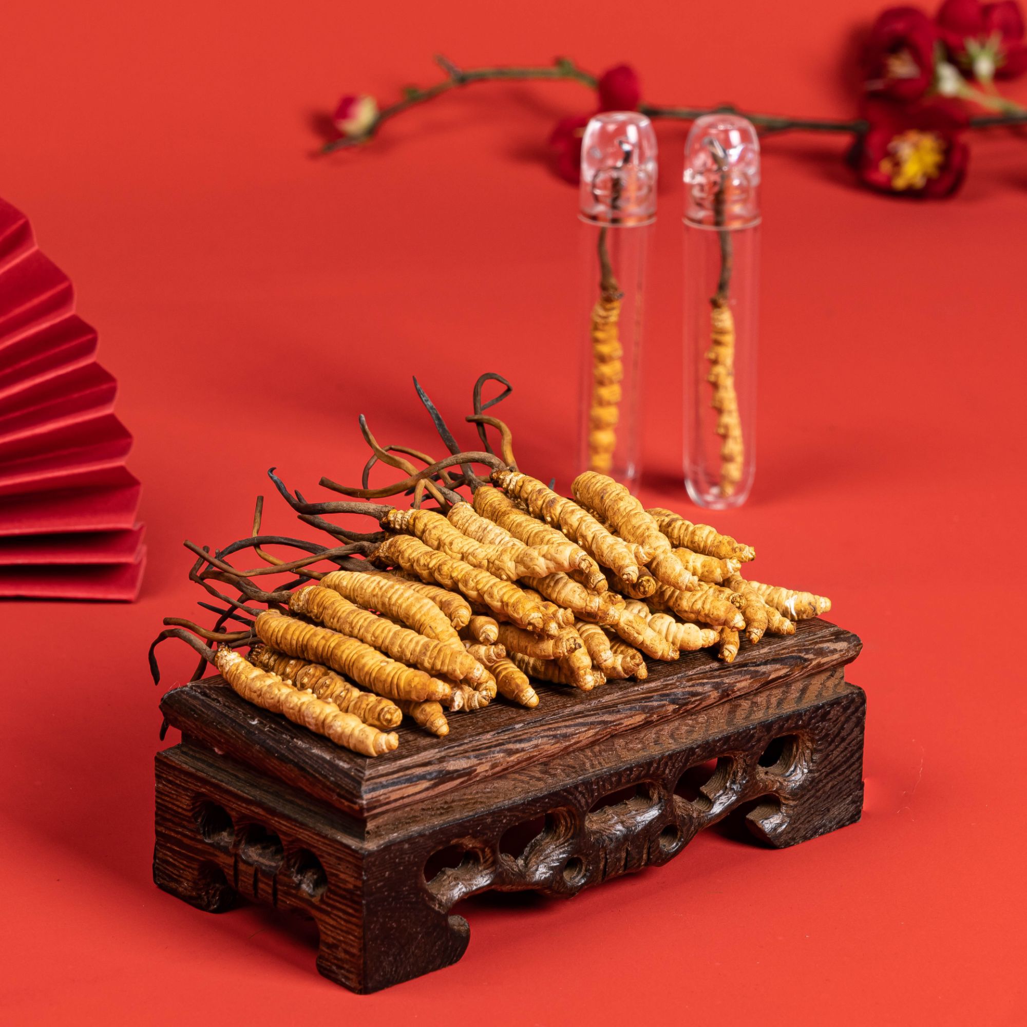 【甄选草王】西藏冬虫夏草100根草王年末送礼佳品雪山圣品礼盒装