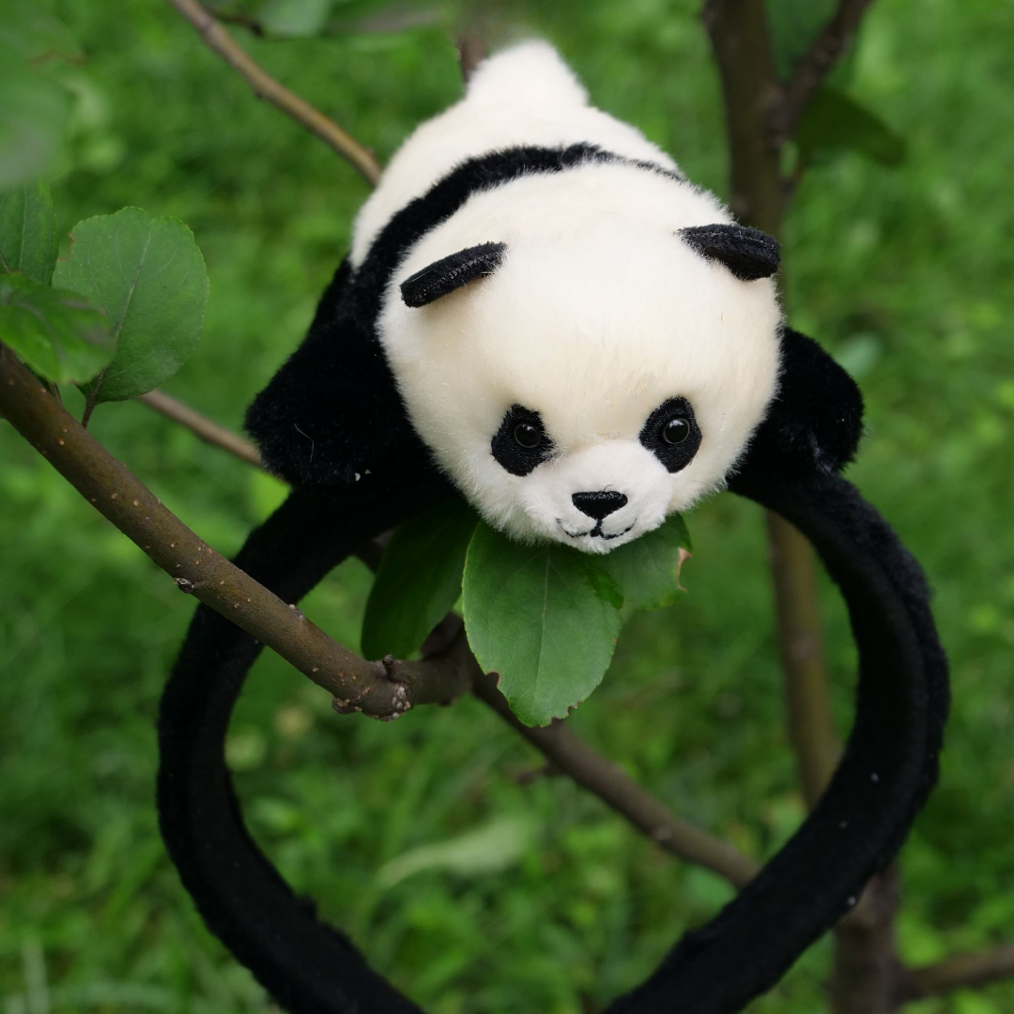 【哈啰潘达】福宝毛绒发箍（12cm）