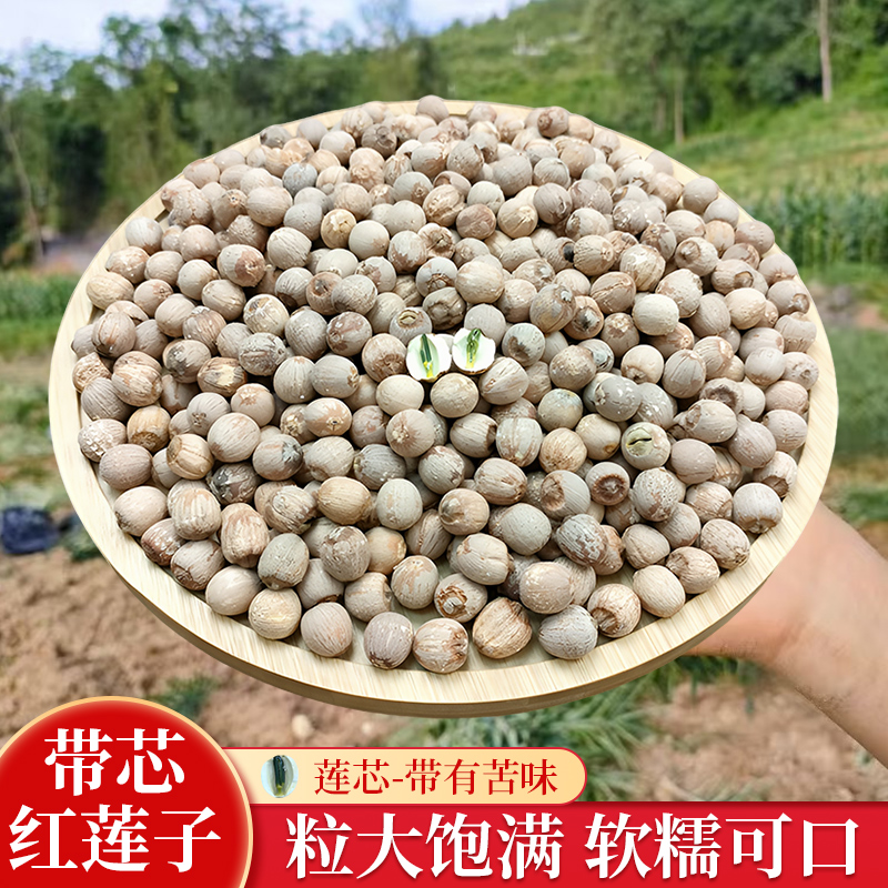 湘小暖正宗湘潭带芯红莲子干货500g有芯带皮莲子250g新货粉糯莲子