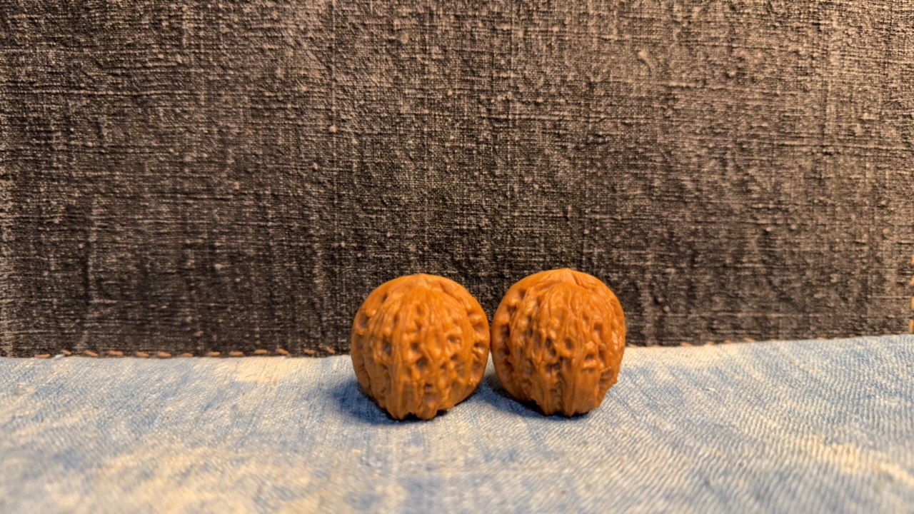 龙胆元宝34.5全家福