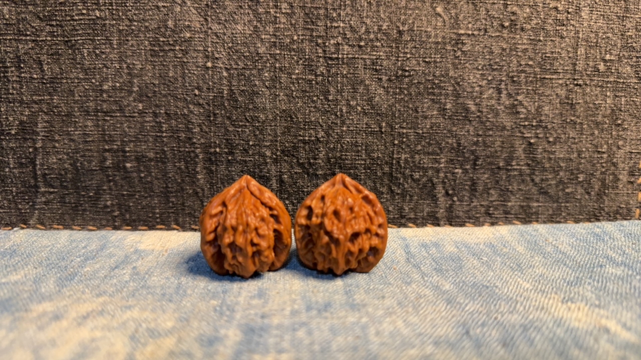 盘山三棱小手捻33全家福