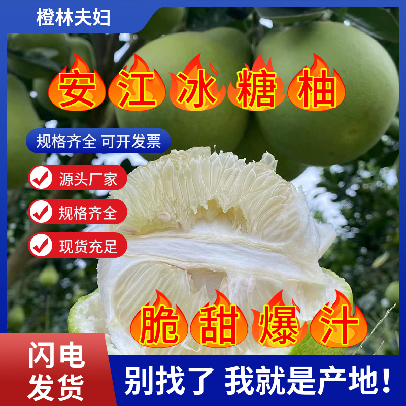 杨橙林安江雪峰老树冰糖柚怀化土柚小苦柚产地直发麻麻柚微苦回甘