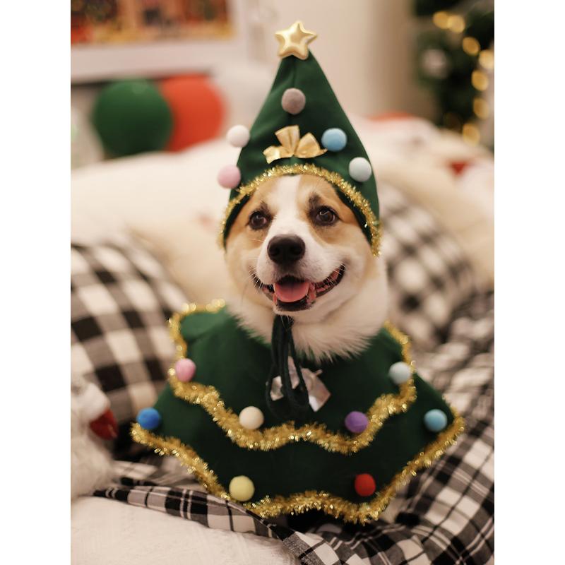 宠物狗狗圣诞树衣服套装柯基斗篷围脖帽子新年节日装饰口水巾秋冬