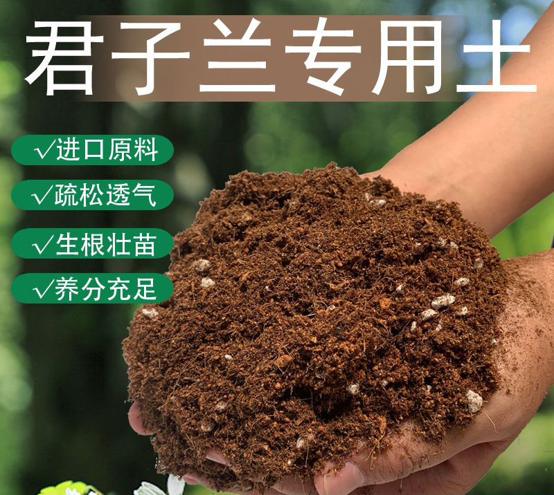 君子兰专用有机营养土疏松透气室内绿植通用土