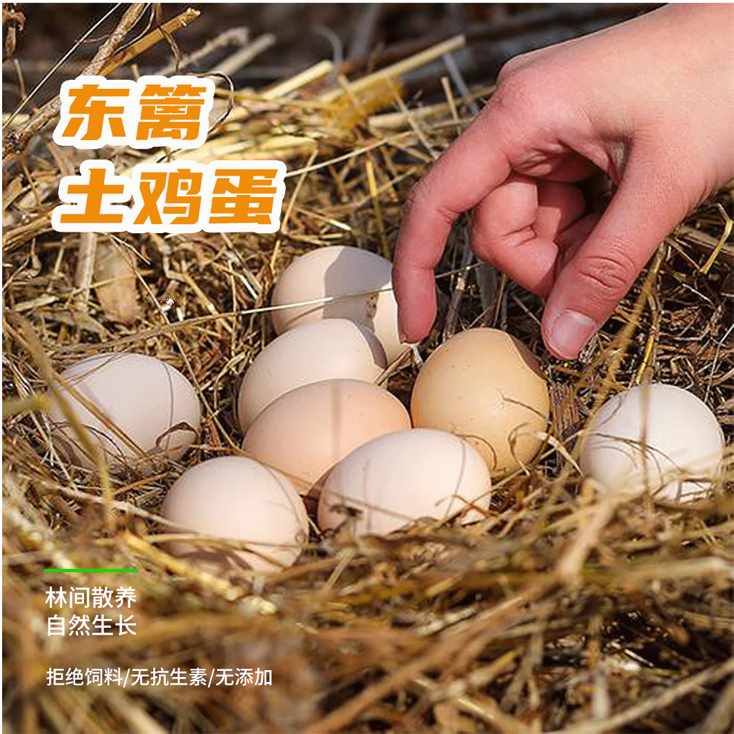 新鲜农家散养土鸡蛋生鲜农产品散养土鸡蛋无菌营养50枚新鲜土鸡蛋
