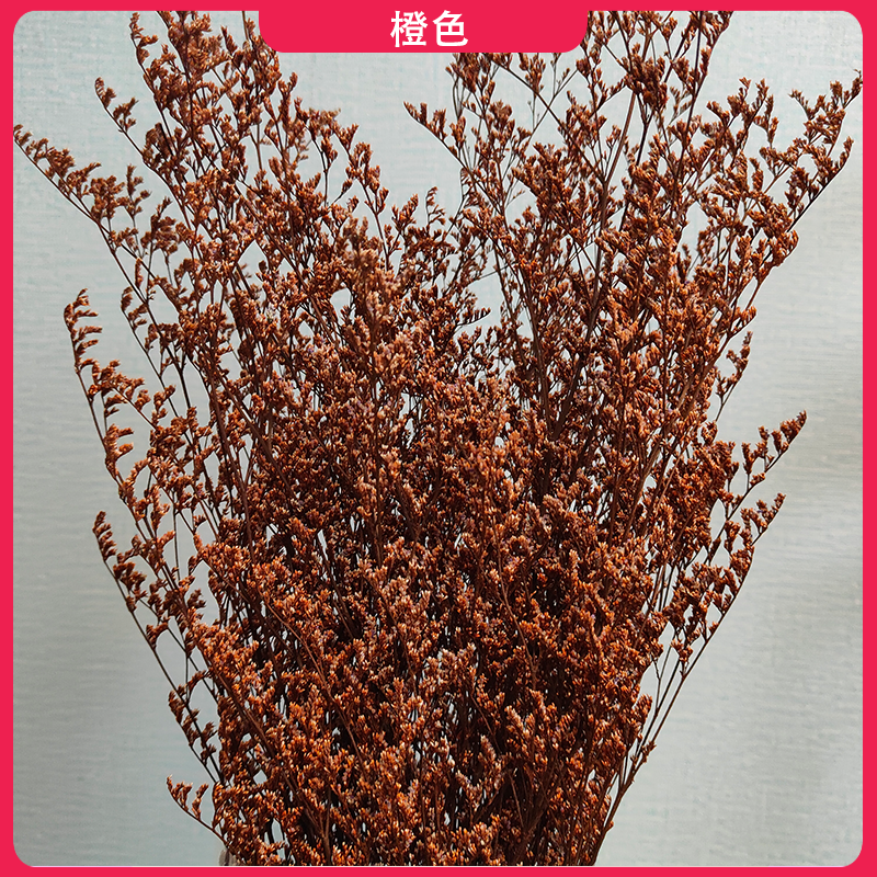 情人草永生花装饰干花花束点缀怕配花DIY手工花花店采购批发