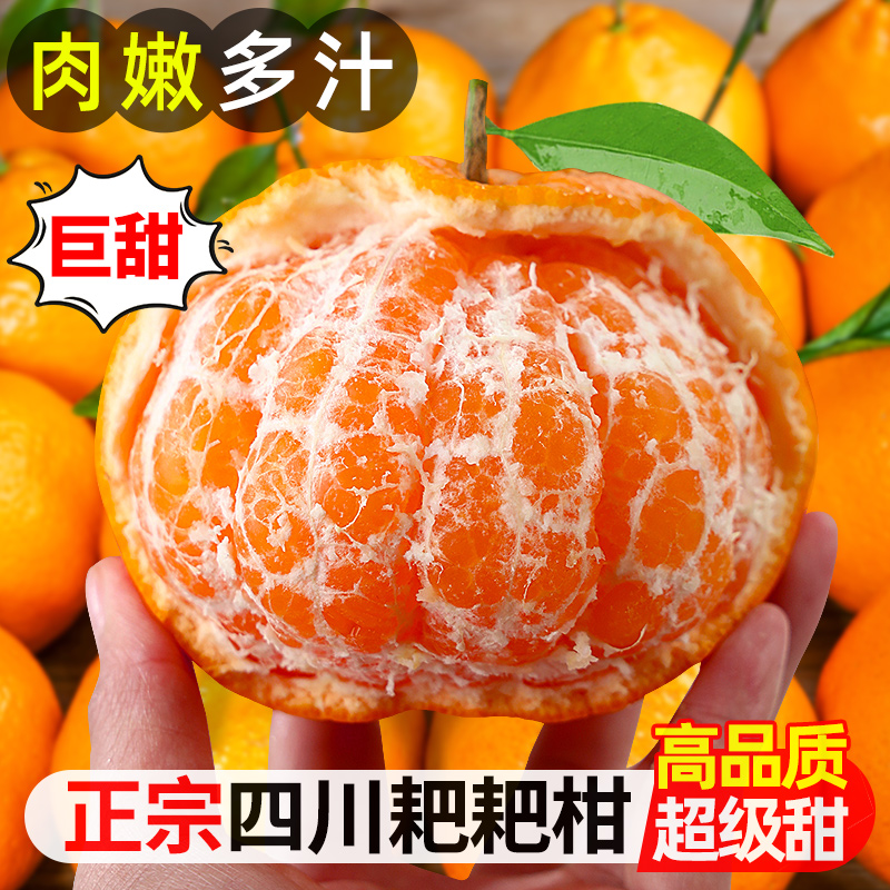 正宗四川春见耙耙柑橘子1/8斤新鲜水果粑粑柑当季成熟甜多汁爽口