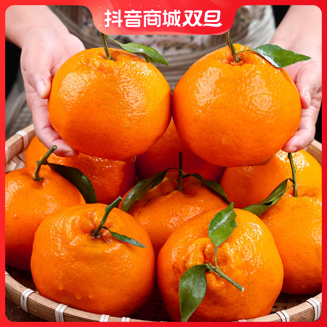 【现摘现发】正宗四川春见耙耙柑粑粑柑香甜多汁现货现发1-8斤爽口