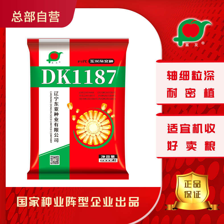 大田玉米种DK1187中熟大棒6000粒耐密植