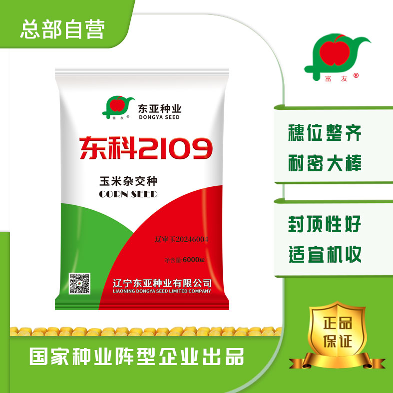 大田玉米种子东科2109穗位整齐耐密大棒封顶性好适宜机收6000粒