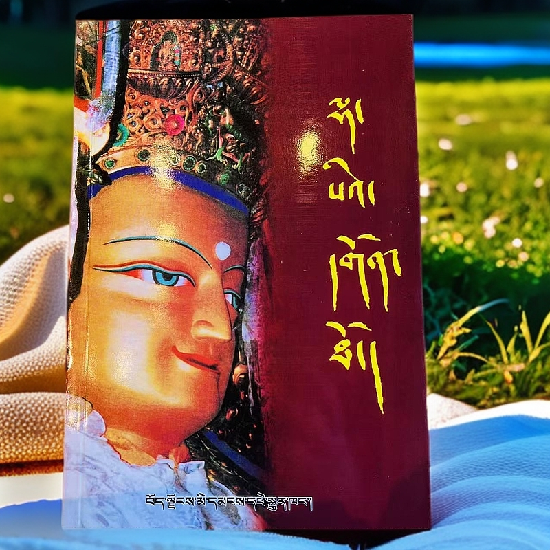 拉萨市辖寺庙简志