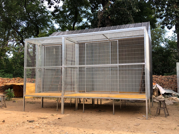 4×3拼装单板种鸽舍