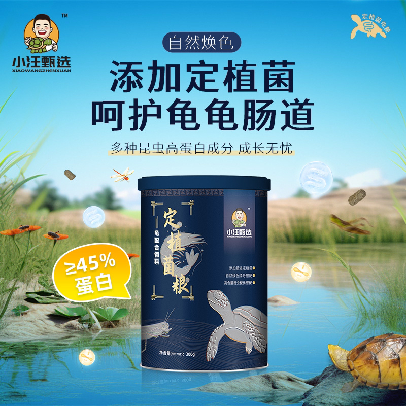 小汪甄选 高端定植菌粮 昆虫配方定值菌龟粮