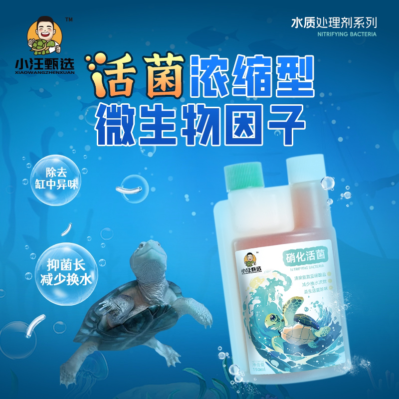 小汪甄选 硝化活菌