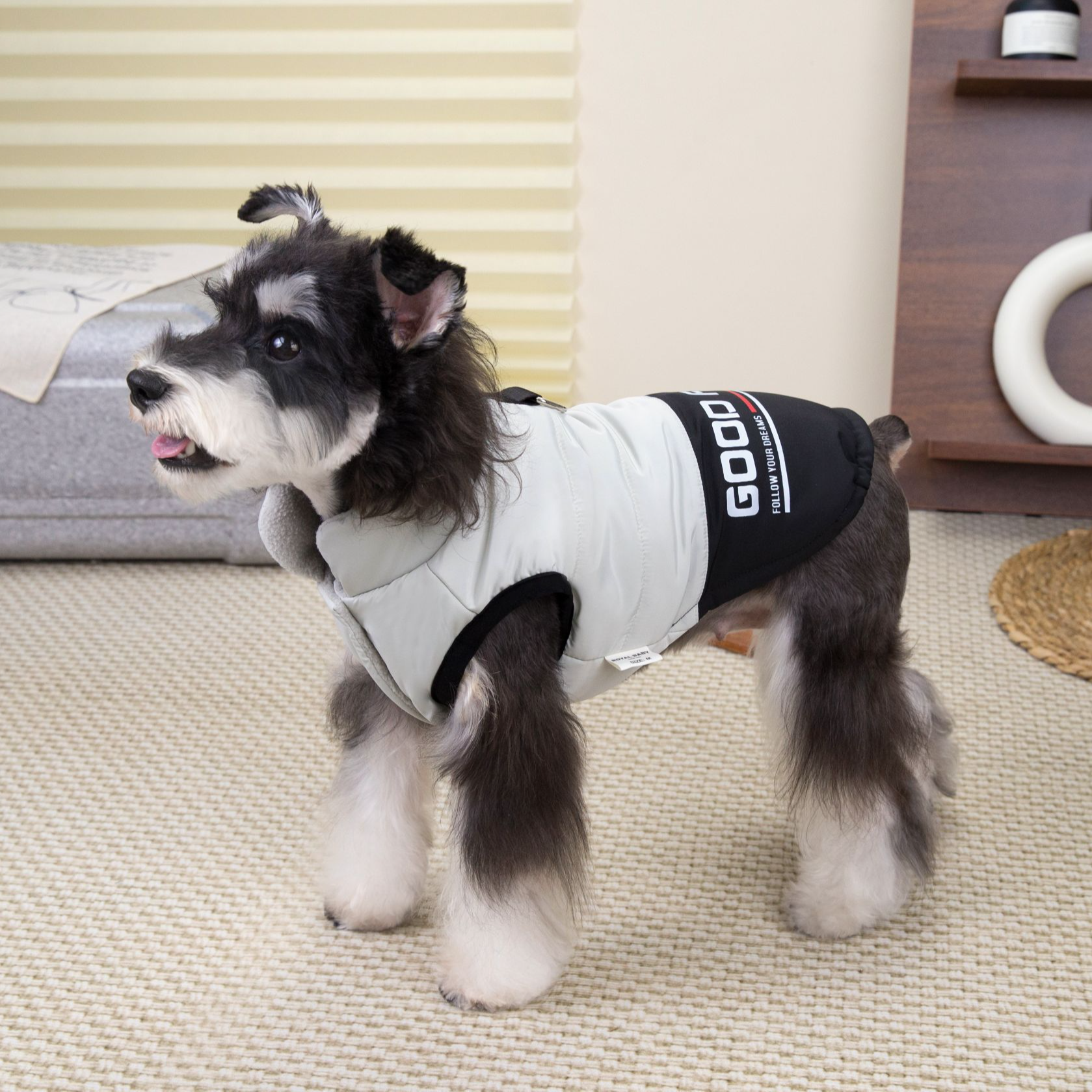 金冠宝贝秋冬新款轻薄酷感可牵引两脚棉衣宠物猫咪狗狗泰迪雪纳瑞