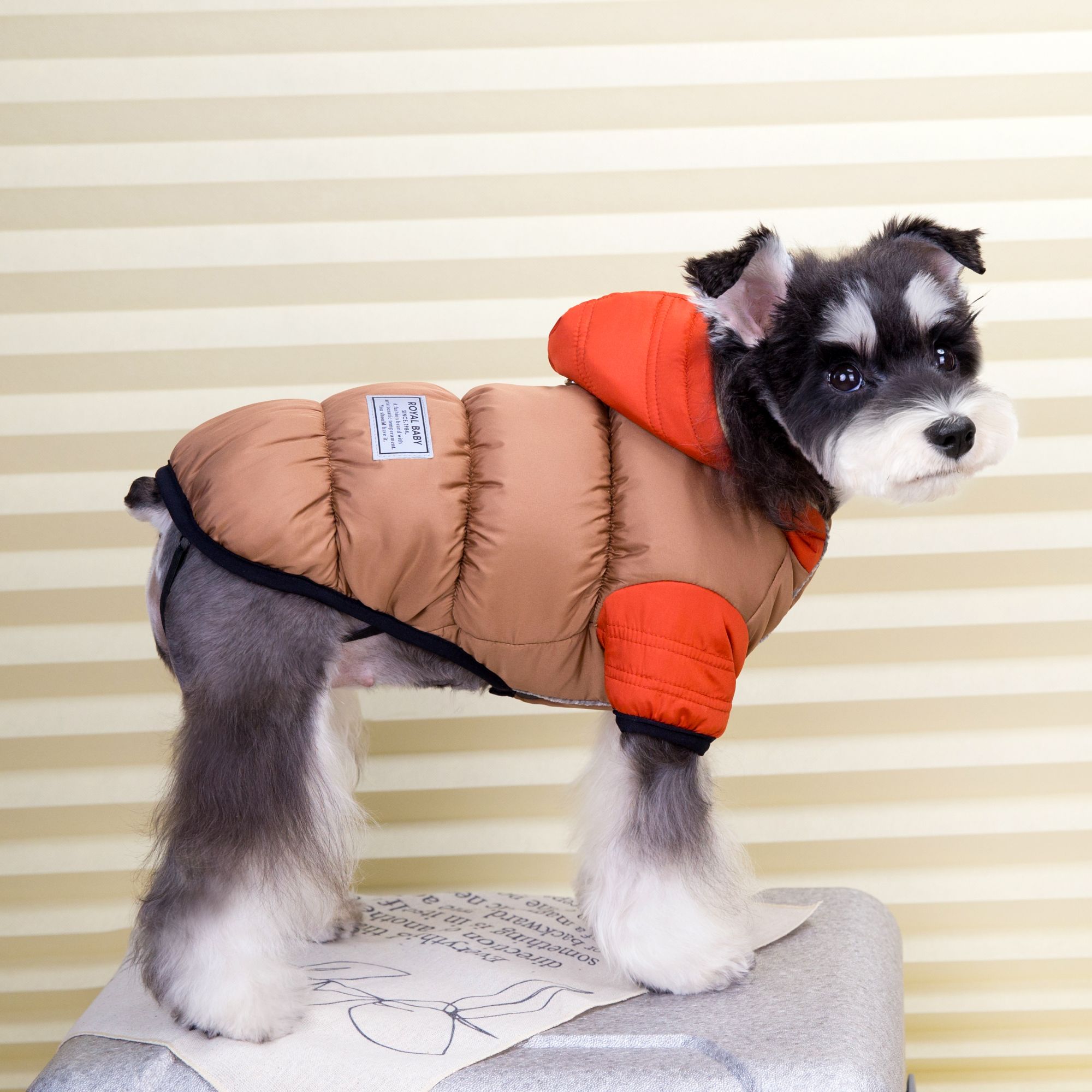 金冠宝贝2024新款宠物用品服装连帽可调节保暖秋冬猫狗两脚衣比熊