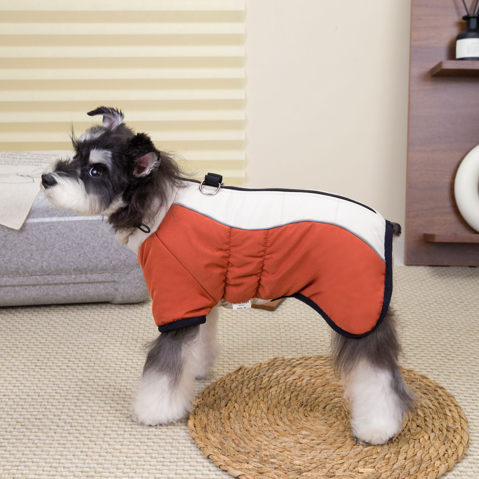 金冠宝贝宠物用品服装帽子可拆洗经典拼色印花秋冬猫猫狗狗两脚衣