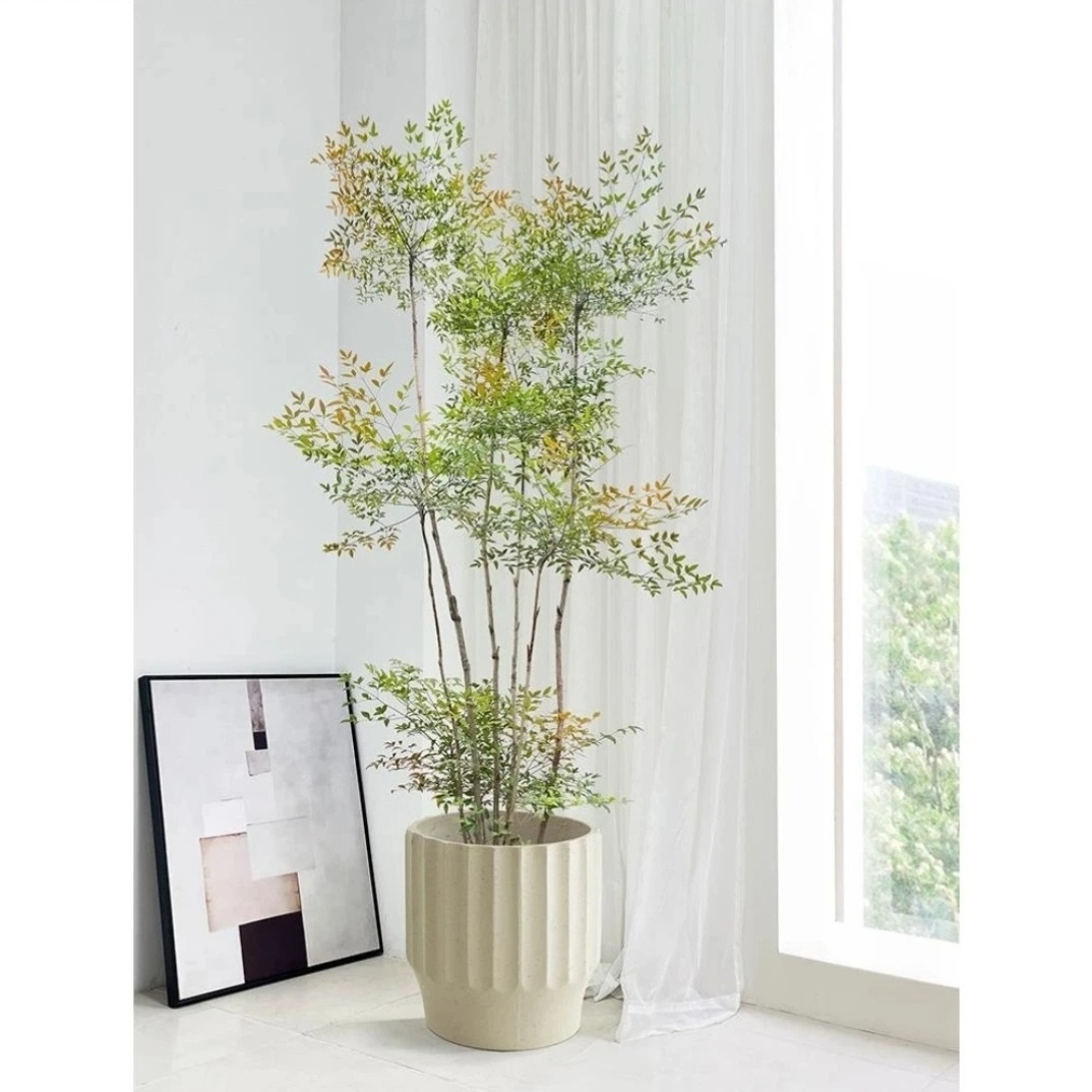 植研社 直播间定制款禅意风简约清新盆栽绿植净化空气